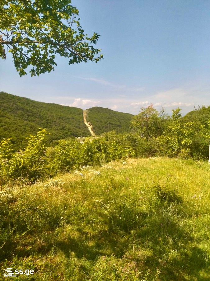 Land For Sale. Mamkoda view 1