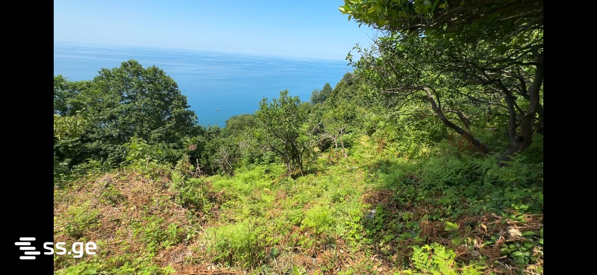 Land For Sale. Kvariati view 2