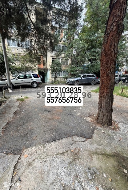 https://static.ss.ge/20261017/19_c001255b-89fa-4588-9629-aea5d82031f1_Thumb.jpg