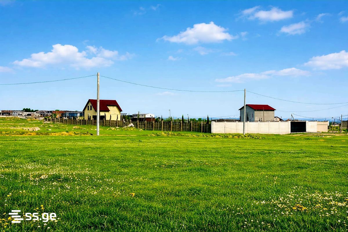 Land For Sale. Krtsanisi view 3