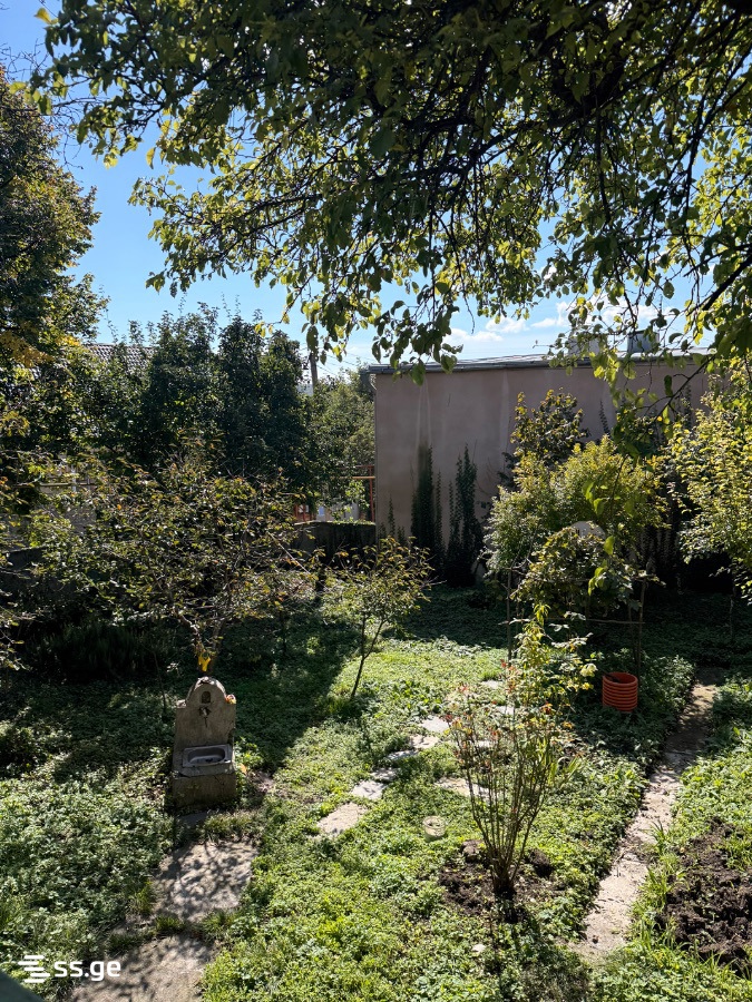 2 Room Private House For Rent. Dusheti view 15