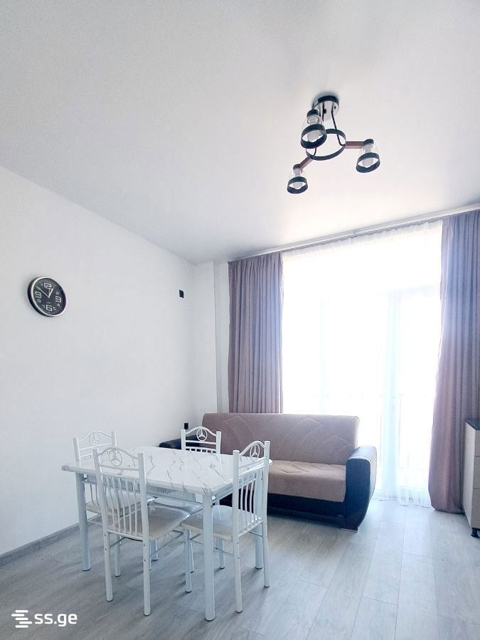 Private House For Rent. Akhalsopeli view 4