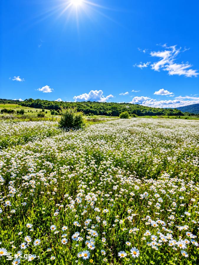იყიდება მიწა ბაზალეტიში view 1
