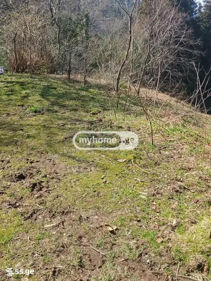 Land For Sale. Gonio view 1