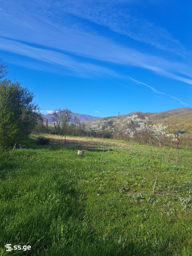 იყიდება მიწა დუშეთიში view 4