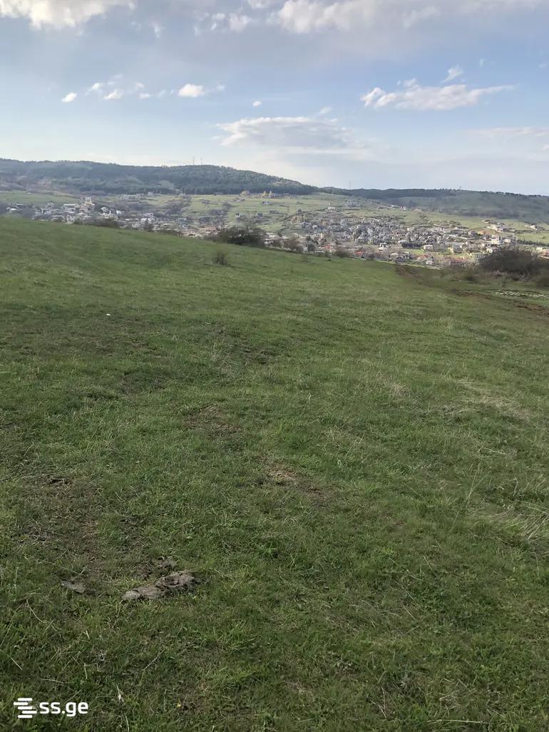 Land For Sale. Mtatsminda view 1