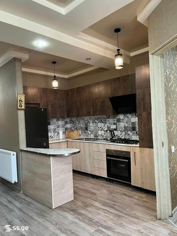2 Room Flat For Rent. Kutaisi view 2