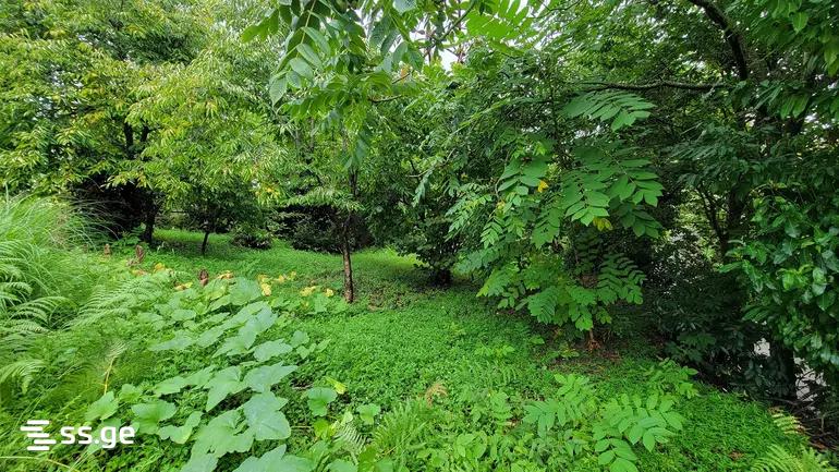 Land For Sale. Kobuleti view 1