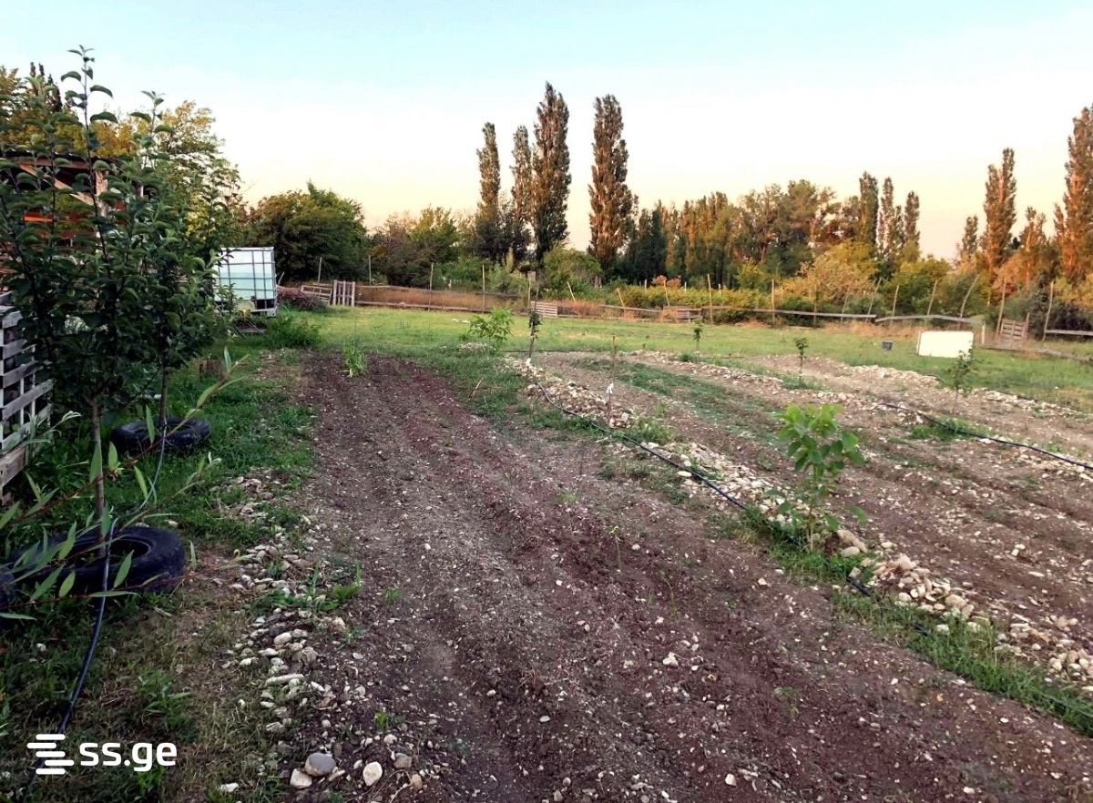Land For Rent. Nasaguri view 11