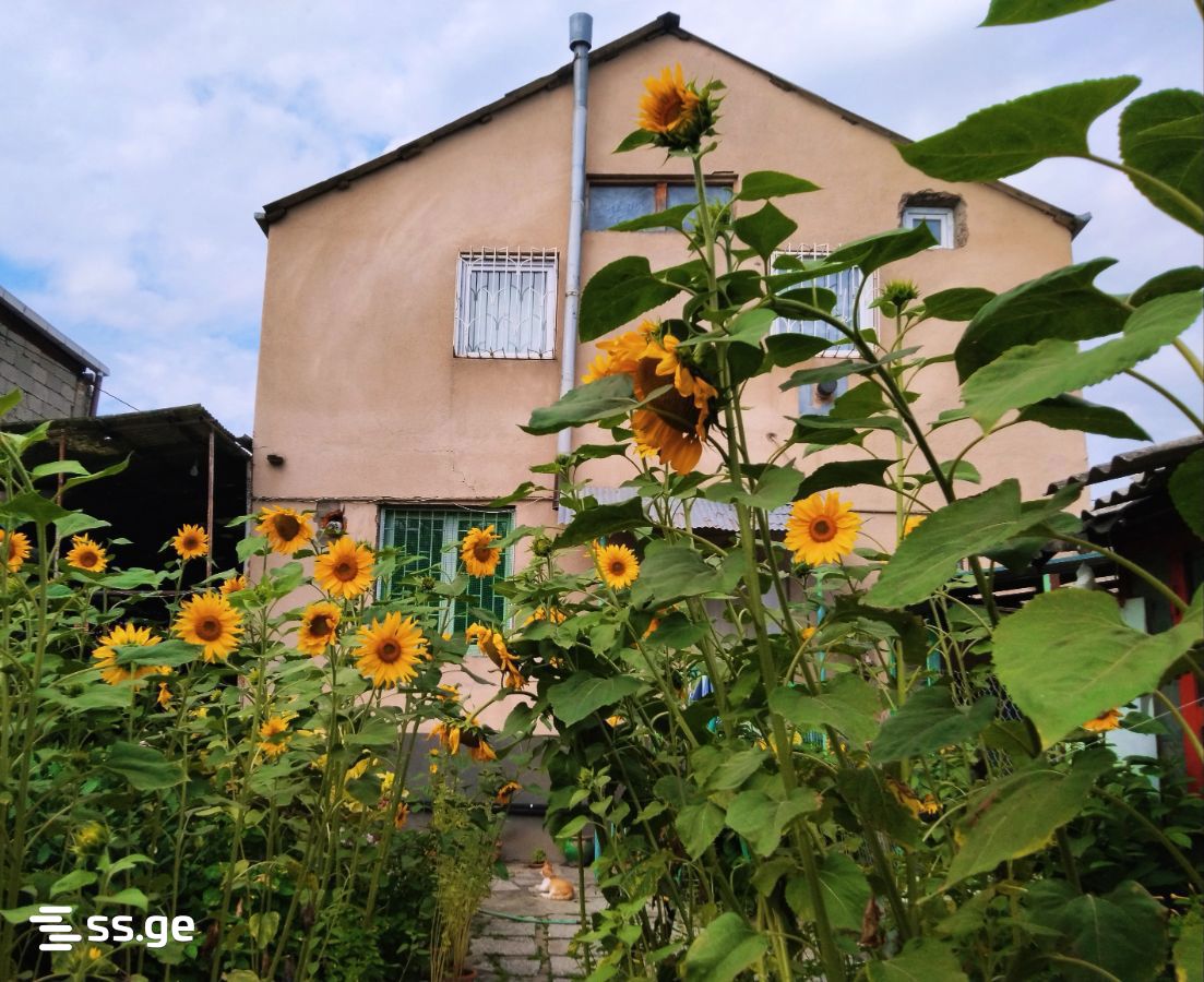 5 Room Private House For Sale view 1