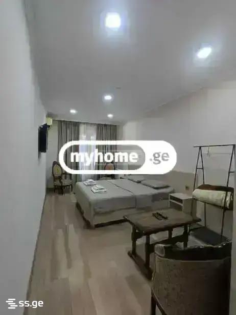 10 Room Hotel For Rent. Mesame Masivi view 1