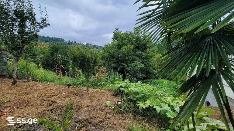 Land For Sale. Kobuleti view 3