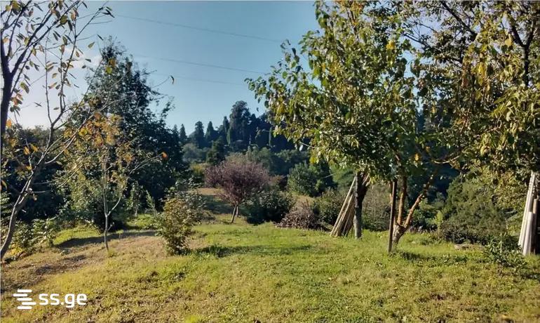 Land For Sale. Kobuleti view 2
