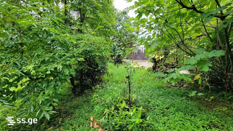 Land For Sale. Kobuleti view 2