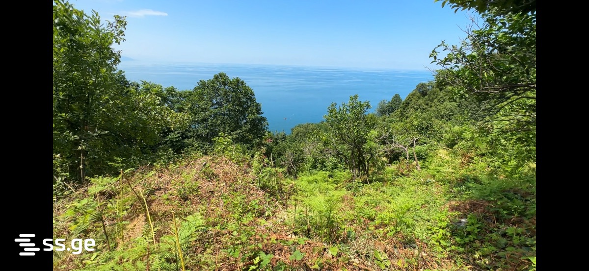 Land For Sale. Kvariati view 1