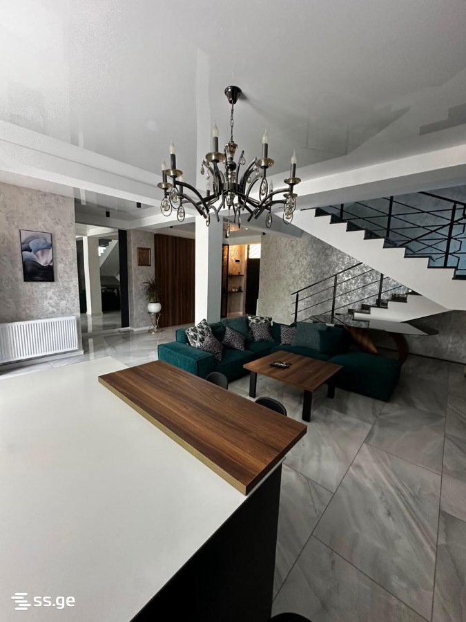 Private House Daily Rent. Isani view 4