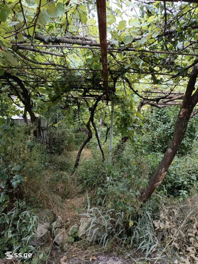 5 Room Private House For Sale view 4
