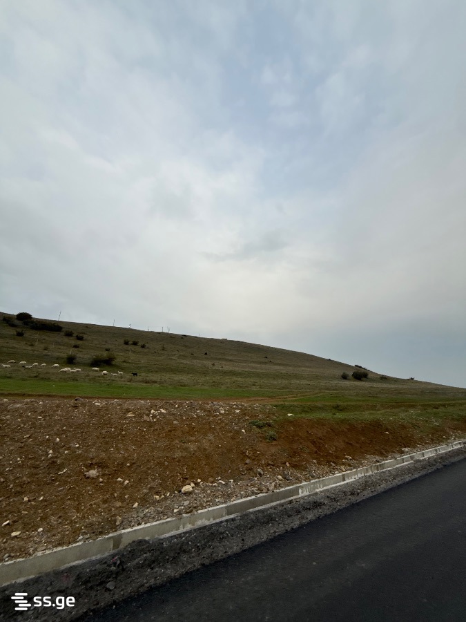 Land For Sale. Tabakhmela view 1
