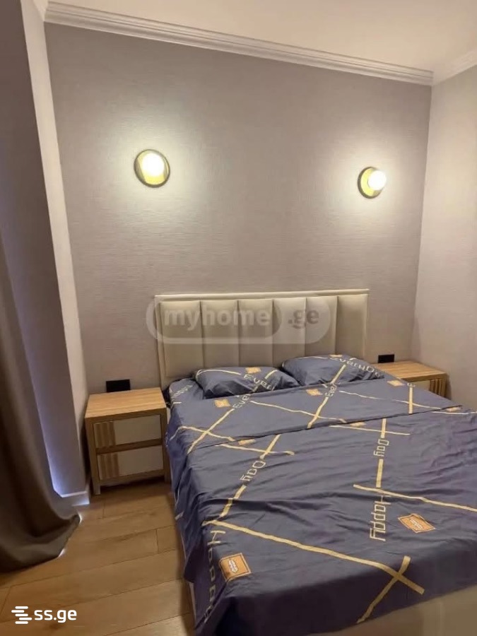 3 Room Flat Daily Rent. Nadzaladevi view 3