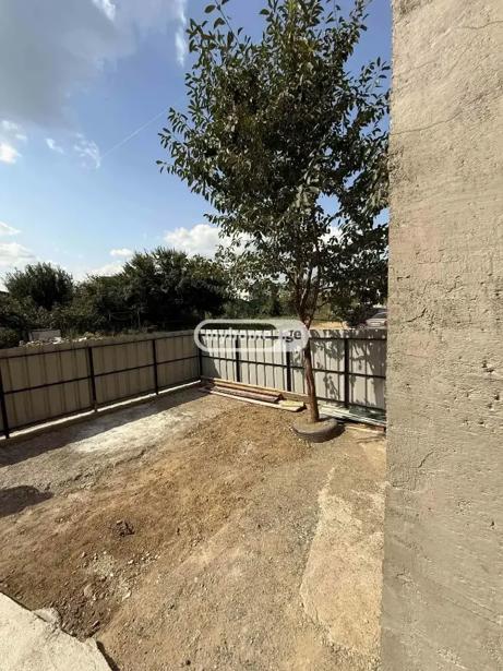 https://static.ss.ge/20261019/0_e1162a87-a6e3-477d-be68-7009c14c1084_Thumb.jpg