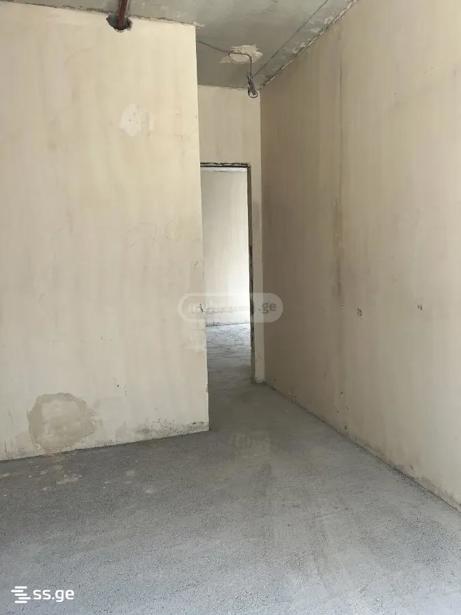 https://static.ss.ge/20261019/0_f3e5e068-c2c2-4843-8ec4-f1b2d0d9c8d1_Thumb.jpg