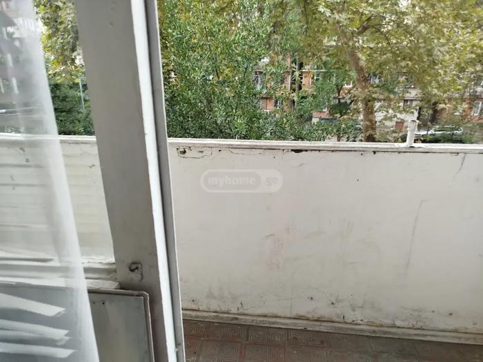 https://static.ss.ge/20261019/16_9a75b3a4-1087-4806-8a21-008c0574849a_Thumb.jpg