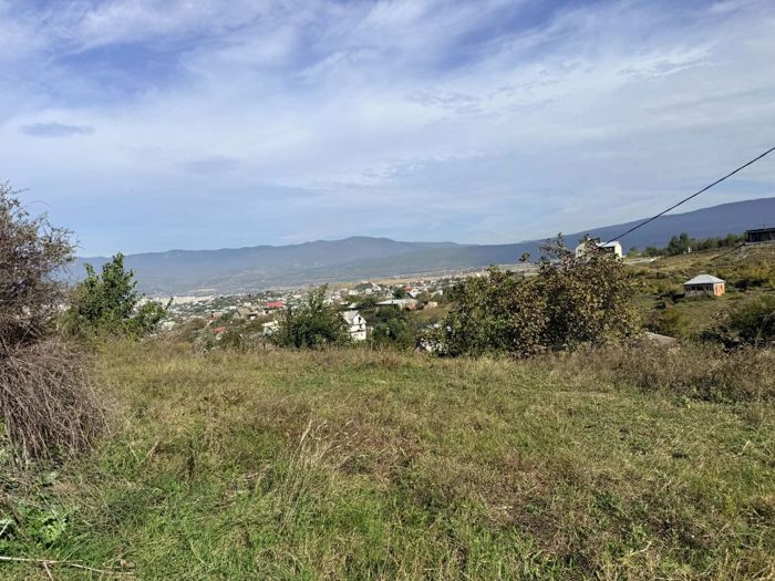 https://static.ss.ge/20261019/18_dd9ee3bf-d35a-4dde-acd5-7fcc33709782_Thumb.jpg