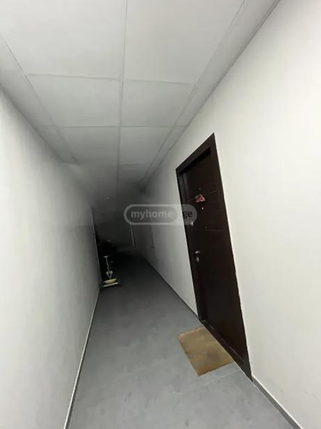 https://static.ss.ge/20261019/3_3d7e21c7-750e-4487-8db5-fe3afe4934a2_Thumb.jpg