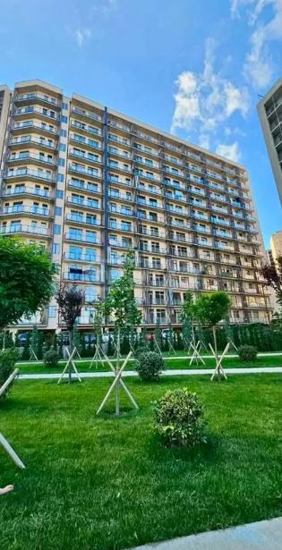 https://static.ss.ge/20261020/10_69f13080-d457-4022-a45a-1306d8e24604_Thumb.jpg