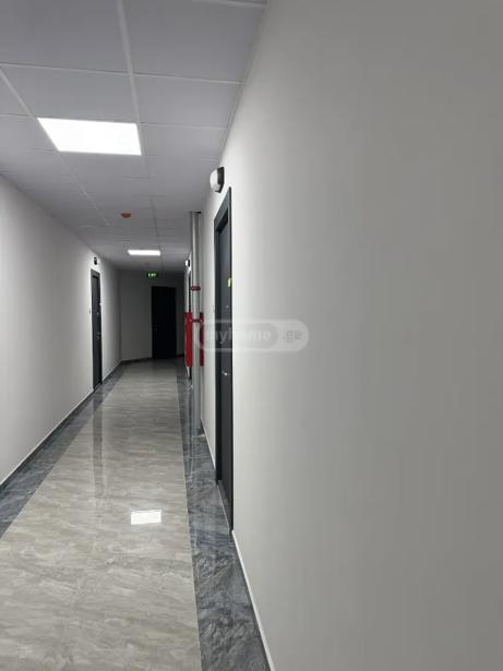 https://static.ss.ge/20261020/18_4fad4d6f-0507-4cb0-9cb8-de74fd5be210_Thumb.jpg
