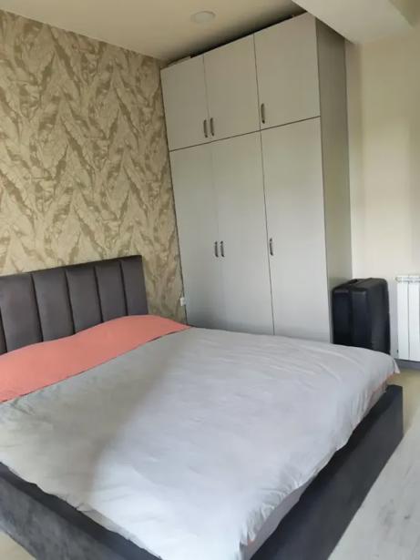 https://static.ss.ge/20261020/19_fcf5b378-ebbf-4e2b-a389-6fa6d24dc971_Thumb.jpg