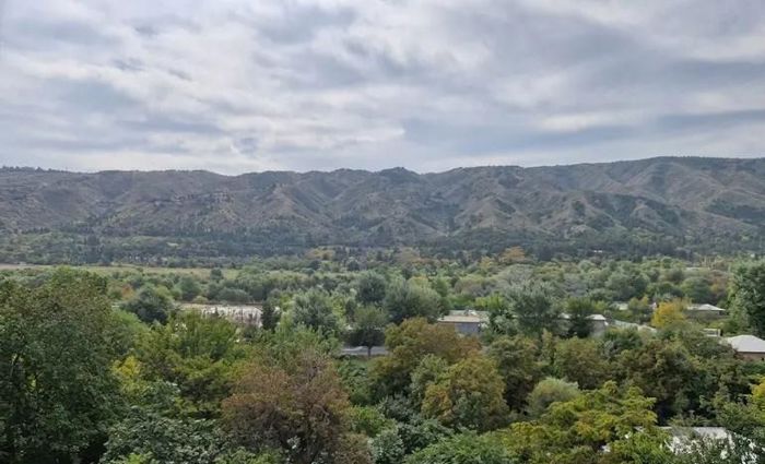 https://static.ss.ge/20261020/2_b1aaa71d-c755-4750-85b7-e1f77954def5_Thumb.jpg