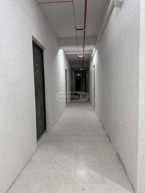 https://static.ss.ge/20261020/7_f5127eaa-46dc-49a9-97df-751ba5ed12e7_Thumb.jpg