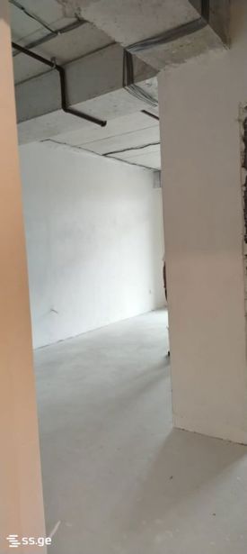 https://static.ss.ge/20261021/13_60ee28e4-99dc-4f2d-af3e-7915eb44b2d3_Thumb.jpg
