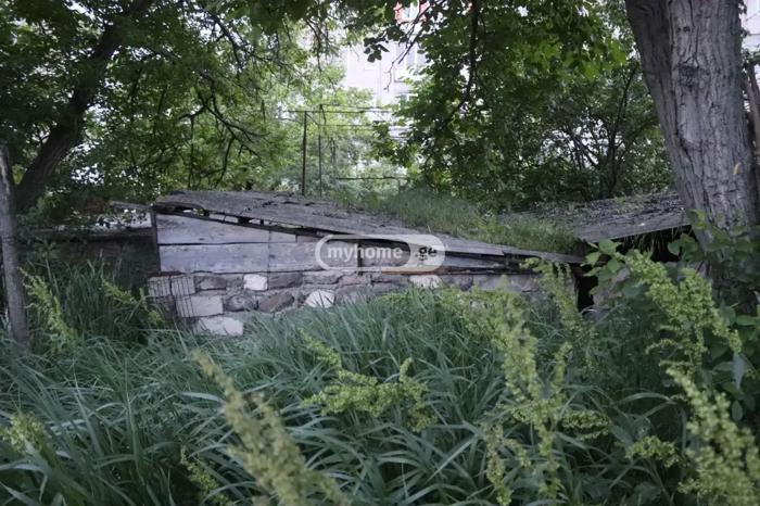 https://static.ss.ge/20261022/18_4495a5c3-dada-4f57-acec-31a3cf48cd3e_Thumb.jpg
