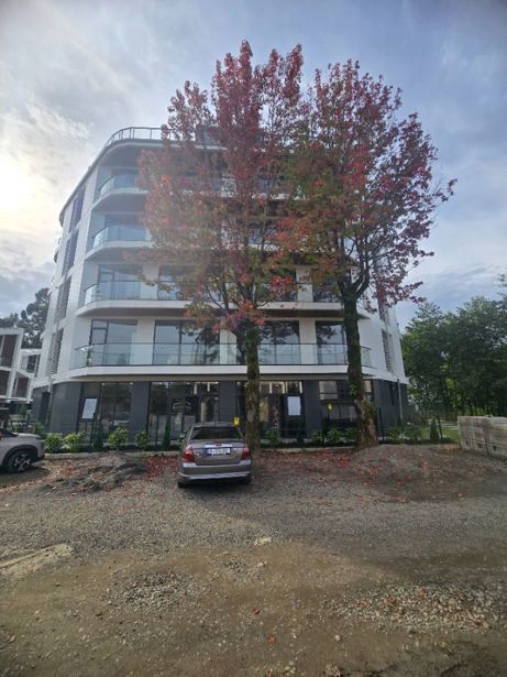 https://static.ss.ge/20261022/2_8e1904d8-0f12-458f-bb1a-c43e58715d02_Thumb.jpg