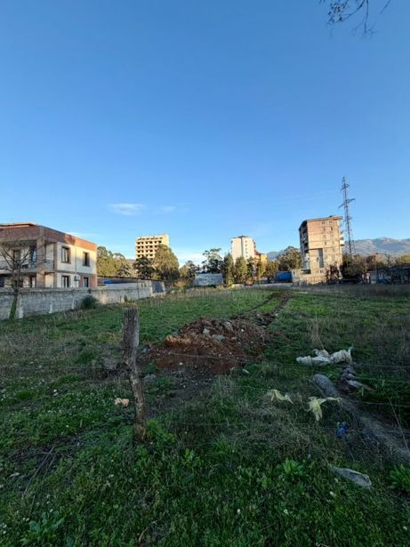 https://static.ss.ge/20261023/7_16ef8bf6-82b4-4419-8f42-0f025487d5f6_Thumb.jpg