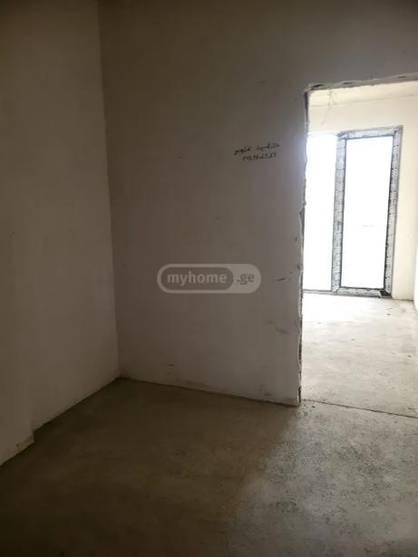 https://static.ss.ge/20261023/7_627e1f04-5614-4b26-ad57-7e0dce889551_Thumb.jpg
