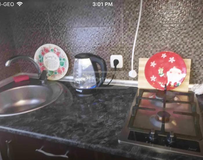 https://static.ss.ge/20261024/4_9c7a8f8f-6101-4fe9-bdc3-851b3a1ef9bd_Thumb.jpg