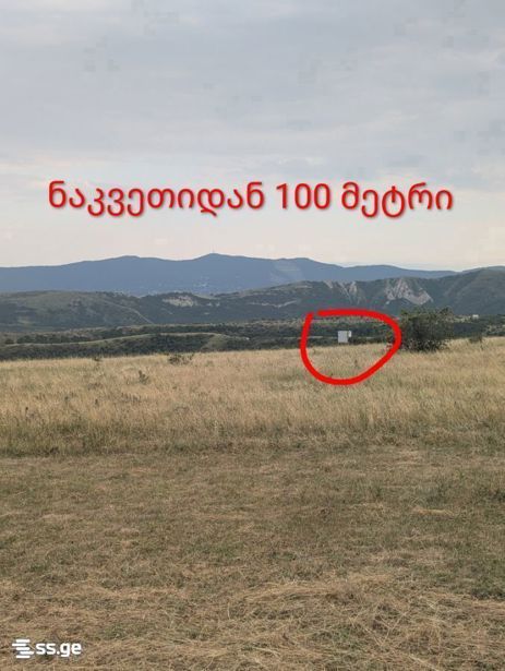 https://static.ss.ge/20261024/8_d650baaa-21a8-4644-a143-eb915db1db59_Thumb.jpg