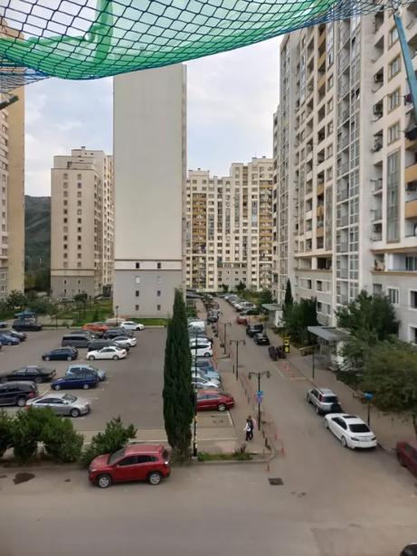 https://static.ss.ge/20261025/14_3420c736-2f55-48a1-80fa-927d2864543b_Thumb.jpg