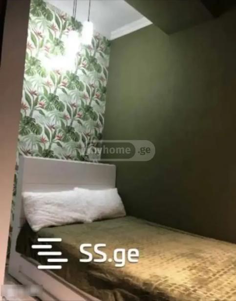 https://static.ss.ge/20261025/18_485a85cb-ac19-4ae9-afd4-a7011c5263cb_Thumb.jpg
