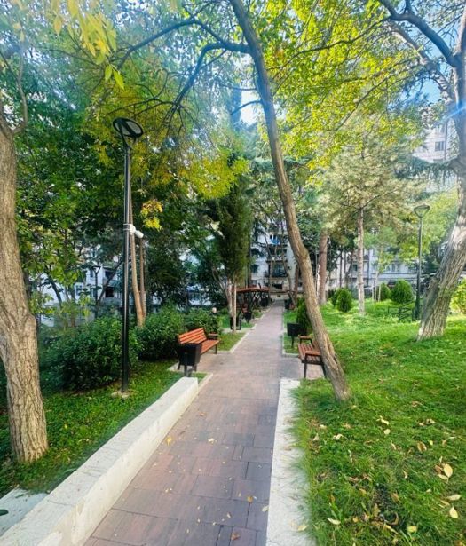 https://static.ss.ge/20261026/18_984e5527-03c9-48a9-b7c1-8ced93af720e_Thumb.jpg