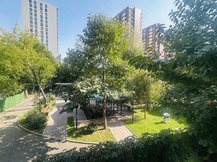 https://static.ss.ge/20261026/1_969670b2-1812-476c-bc2a-9347848b1fe2_Thumb.jpg