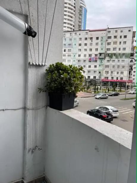 https://static.ss.ge/20261028/15_e30d37ed-b1a5-468b-a01f-e87e6b86a66e_Thumb.jpg