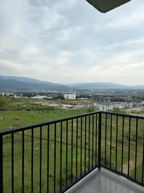 https://static.ss.ge/20261028/18_f03dec4c-ecf0-4b0a-82b4-0dd2720cae3c_Thumb.jpg