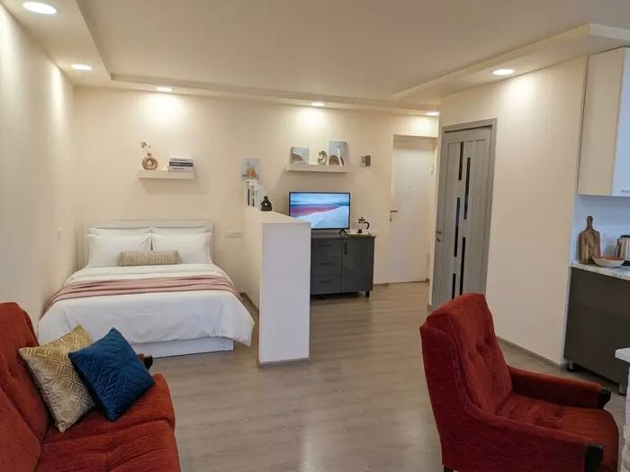 1 room Flat For Rent. Saburtalo  - picture #1
