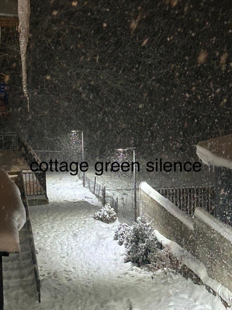 https://static.ss.ge/20261029/0_7070ac83-907d-4176-b1d4-f511116deb9b_Thumb.jpg