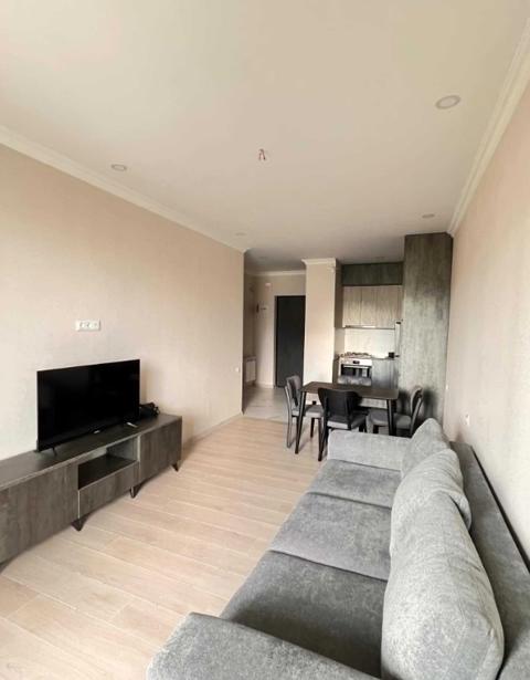 2 room Flat For Rent. Didi digomi  - picture #1