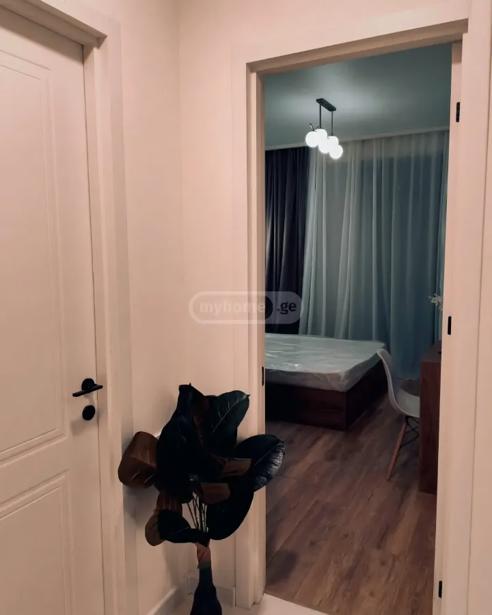 https://static.ss.ge/20261029/8_339154da-9a5f-40b2-871e-7e7f3f54b3b6_Thumb.jpg